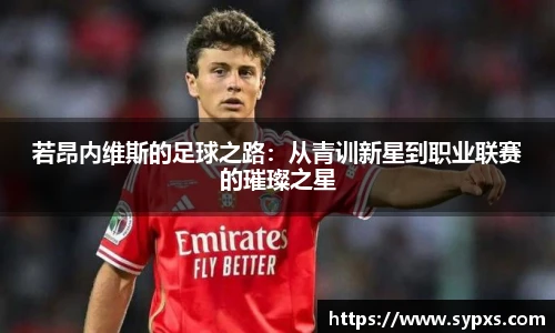 熊猫体育官网
